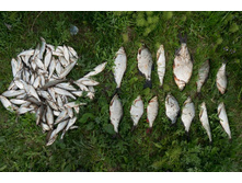 ���� �� ����� 1 (1 �� 1).jpg