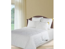 ������ ����.jpg