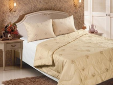  VR  �������.jpg