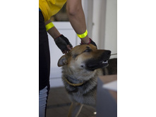 ������ ������ 2013-1092.jpg