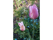 IMAG0484.jpg