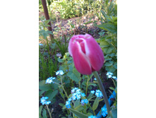 IMAG0488.jpg