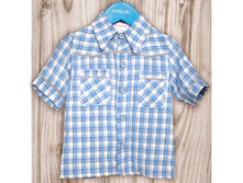 muzhskaya_rubashka_v_kletku2011.jpg