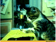 � �ݣ � �� ������� �������� ����