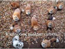 � ������� ������ ������?