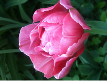 ����� 018.jpg