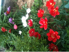 ����� 014.jpg