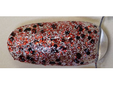 ����*��� 12