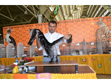 DSC_0555 - ����� - ����� (2).JPG