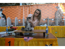 DSC_0569 - �����.JPG