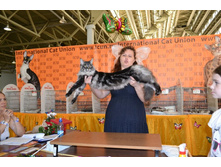 DSC_0578 - �����.JPG