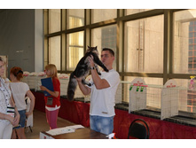 DSC_0584 - �����.JPG