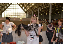 DSC_0591 - ����� - �����.JPG