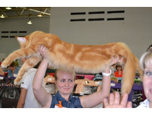 DSC_0598 - ����� - �����.JPG