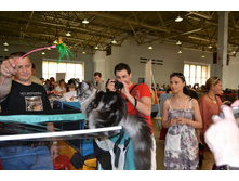 DSC_0603 - ����� - �����.JPG