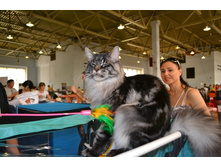 DSC_0604 - ����� - �����.JPG