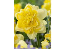 ������� ���� ���������, 5 ��. � 17,64.jpg