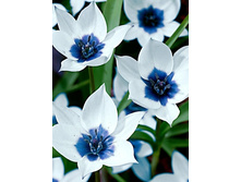 ������� ����� ��������, 47,14 � 2 ��.jpg