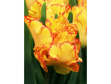 ������� �������� ������, 58,0 � 1.jpg