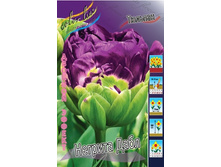 ������� ������� ����, 19,04 � 5 ��.jpg