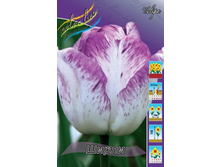 ������� ����� 8,82 � 10.jpg