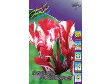 ������� ������� ���������, 12,92 � 5.jpg