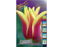 ������� ������, 12,91 � 5.jpg