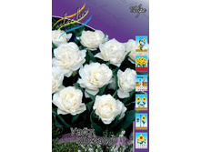 ������� ���� ������, 13,93 � 5.jpg