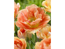 ������� ������� �����, 11,89 � 5.jpg