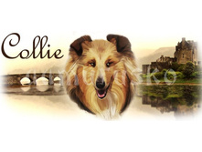 kolli ��������.jpg