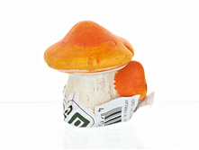 1540833.jpg���. ������ 16   43.60�