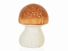 1540836.jpg  ���. ������ 1  209�