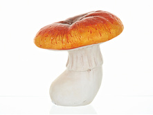 1540839.jpg���. ������ 1  201�