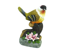 2000508.jpg��� ��� 1   398�