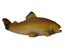 ��� ��� 4    141�