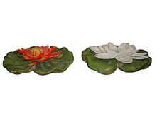 ��� ���  6   253.50�