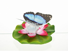 ��� ��� 2   260�