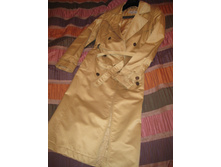 ���� �.36 "�����������"