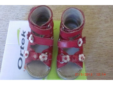 ������� ����� �-� 24