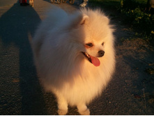 2013-05-21 20.48.47.jpg