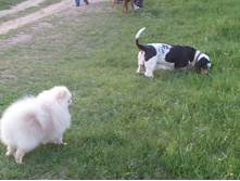 2013-05-21 21.03.14.jpg