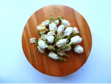 ����� �������