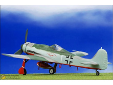37261 FW190D 3.jpg
