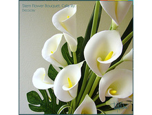 �� ����� �����.