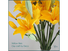 �� ������ �����.