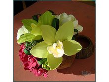 ������ � ����������� ����.