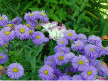 �������������� �����