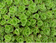 ������_����� 1