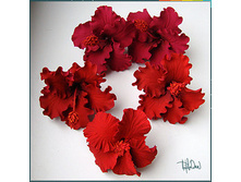 ������ � ����������� ����.