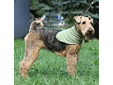 ��� �������.jpg